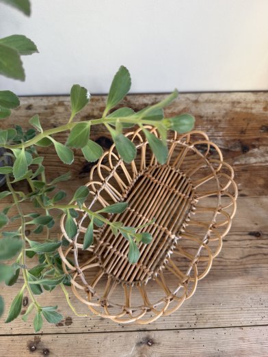 Bungalow bread basket