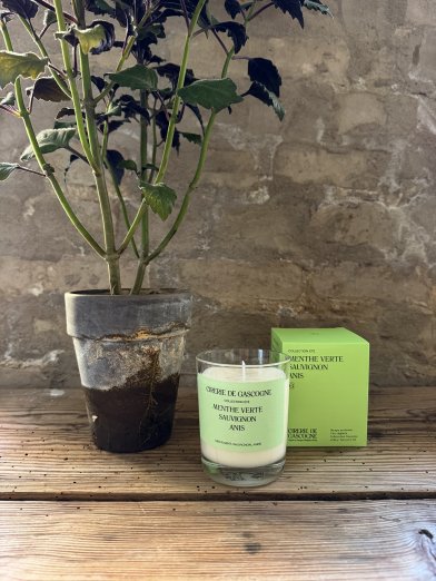 Cirerie de gasgocogne doftljus Menthe-verte